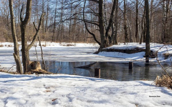 нерехта приток клязьмы