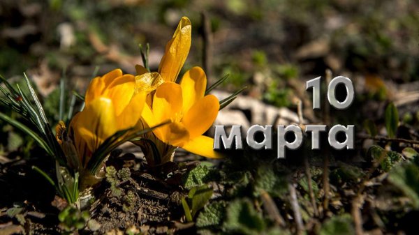 Марта месяца