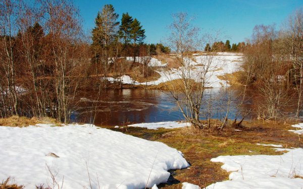 река весной