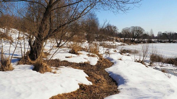 начало весны