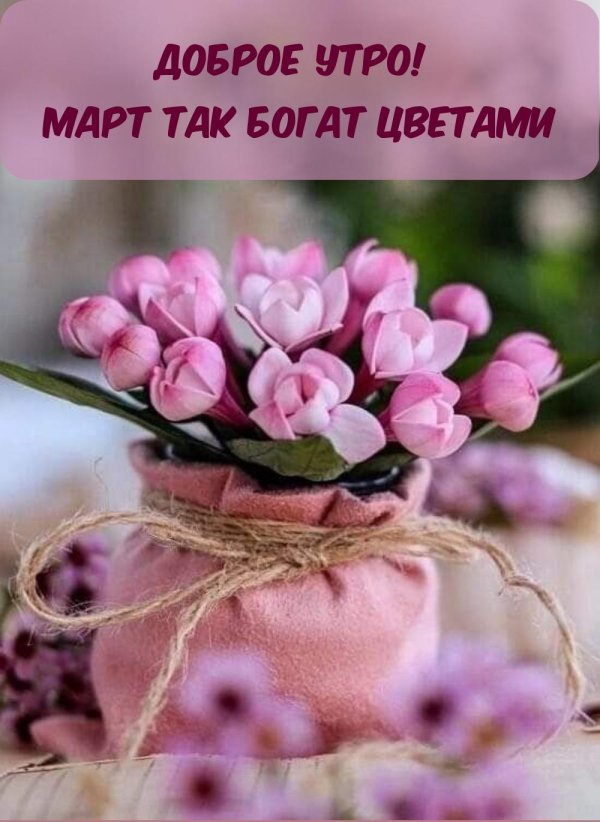 доброго утра цветы