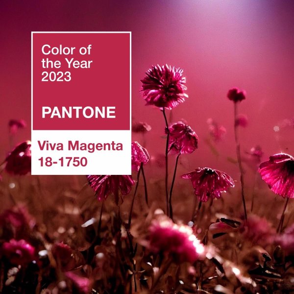 pantone 181750 viva magenta