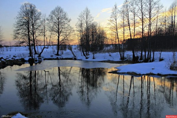 природа в марте