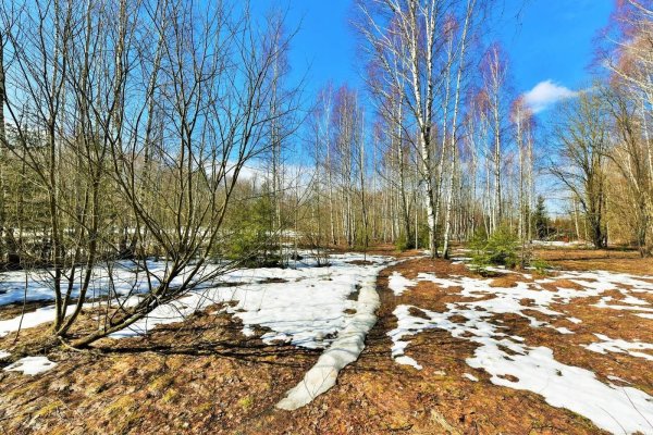 апрельские проталины