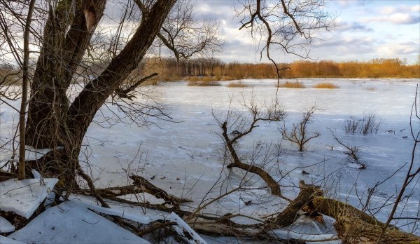 зима пейзаж