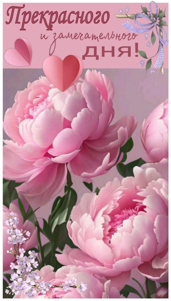 замечательного дня
