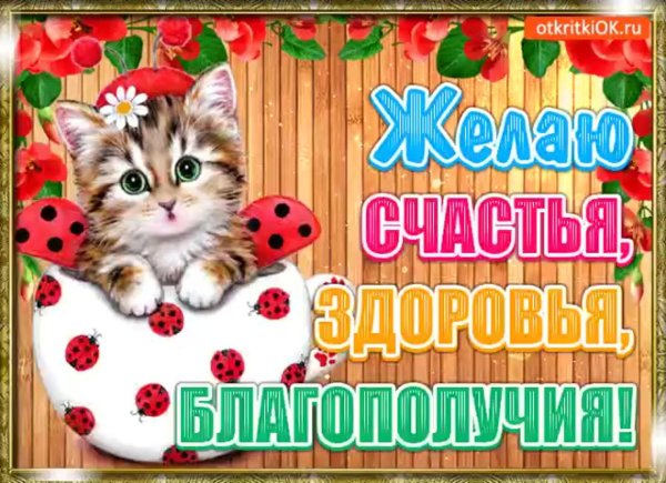 пожелание счастья