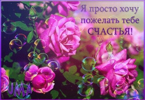 желаем счастья