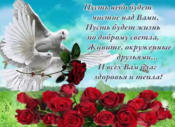 пусть будет небо чистое над вами