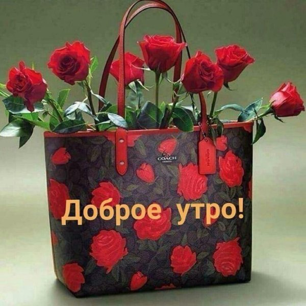 доброе утро доброе утро