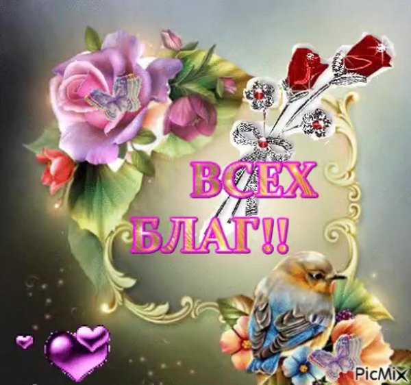 волшебные цветы