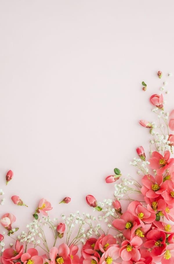 цветочные фоны