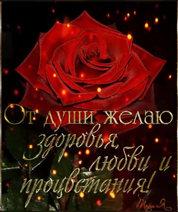 желаю счастья здоровья любви