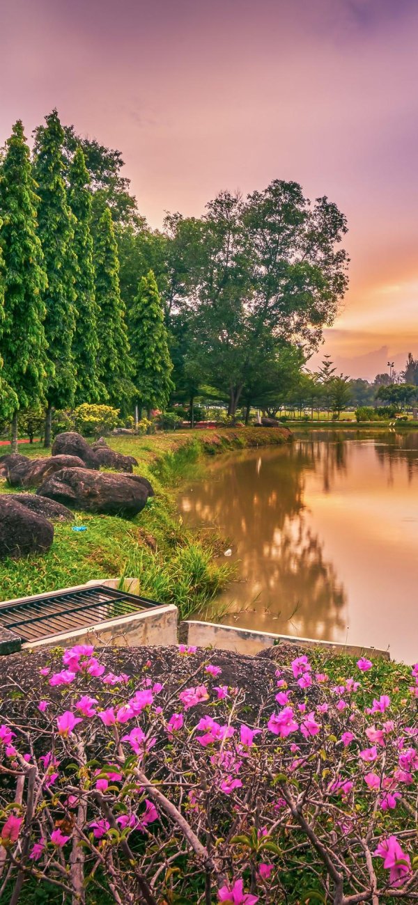 весна озеро