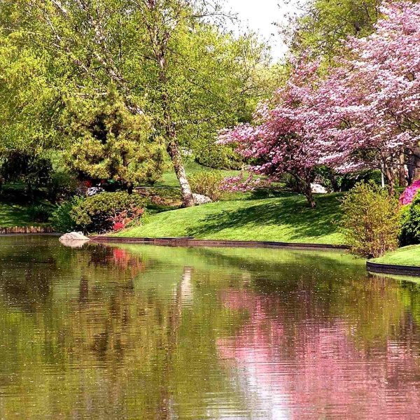 природа весна