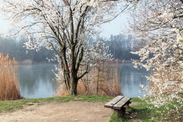 Весенние пейзажи