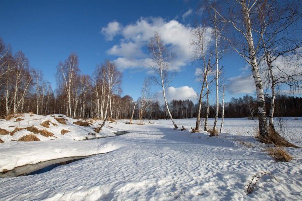 апрельские проталины