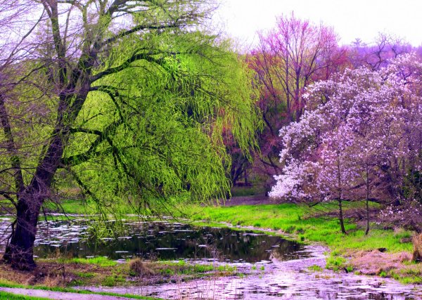 весна природа