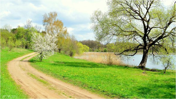 поздняя весна