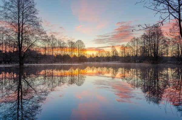весна пейзаж
