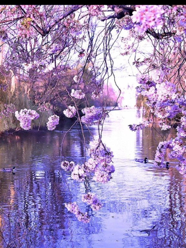 пейзаж весна