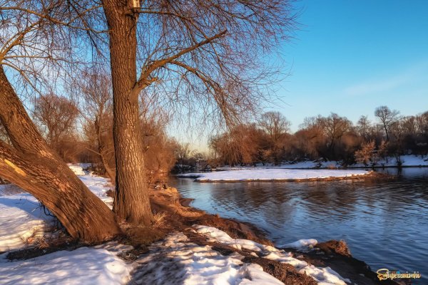 природа ранней весной