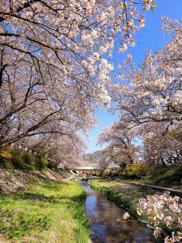 Весенние пейзажи