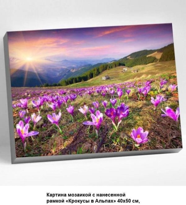 алмазная мозаика крокусы