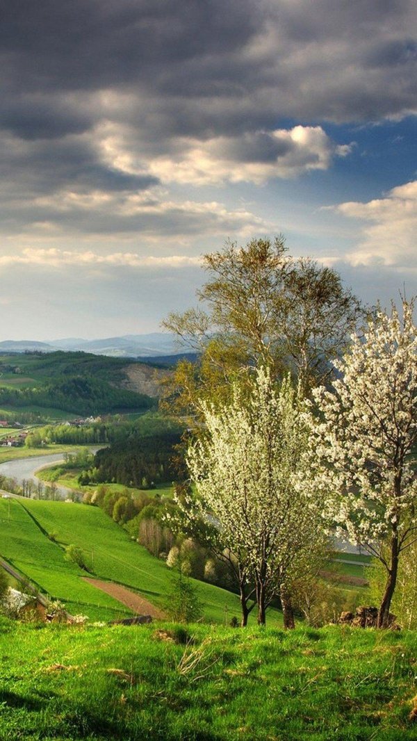 весна пейзаж