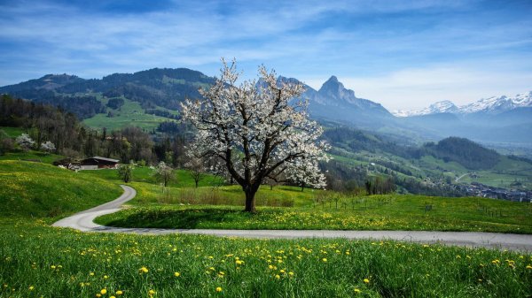 spring in switzerland