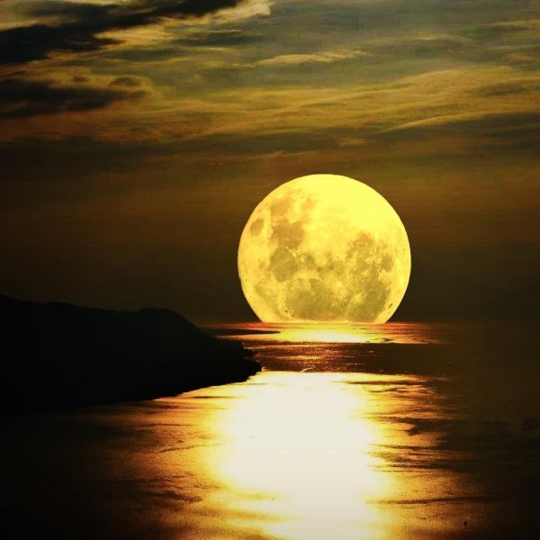 лунная ночь