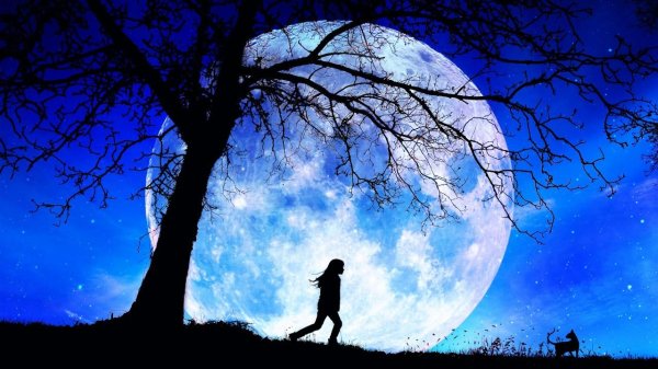 на фоне луны