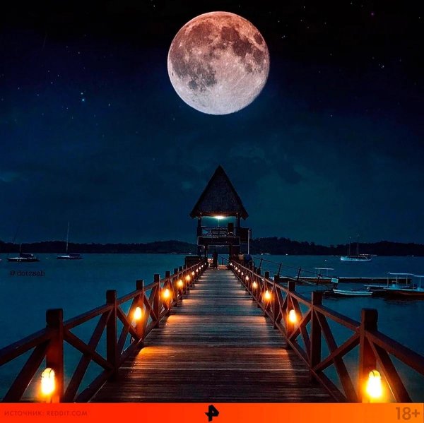 лунная ночь
