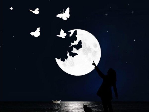 лунная ночь