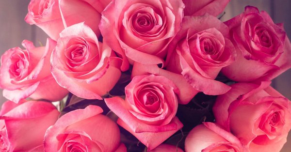 роза валентино