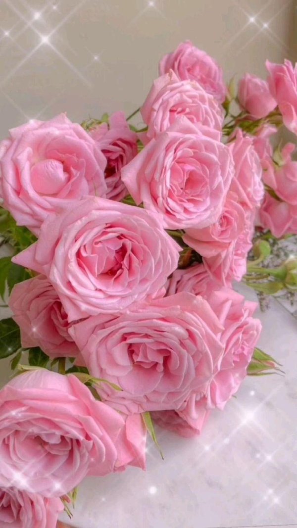 очаровательные розочки