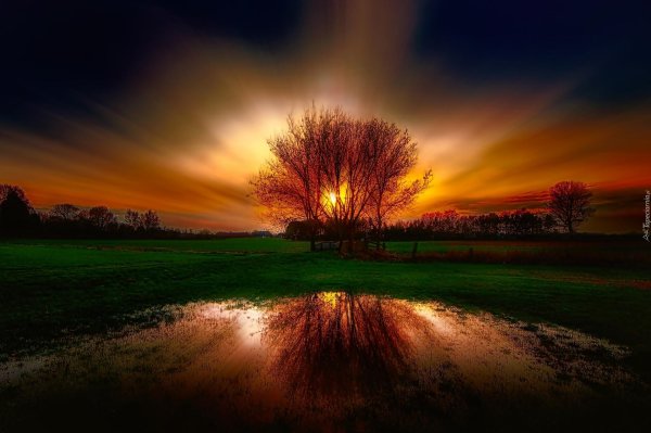 красивые рассветы