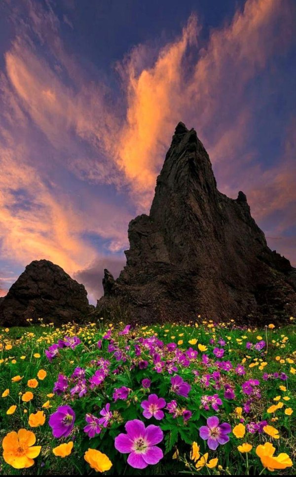 удивительная природа