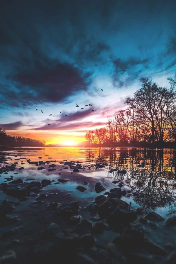 природа красивая