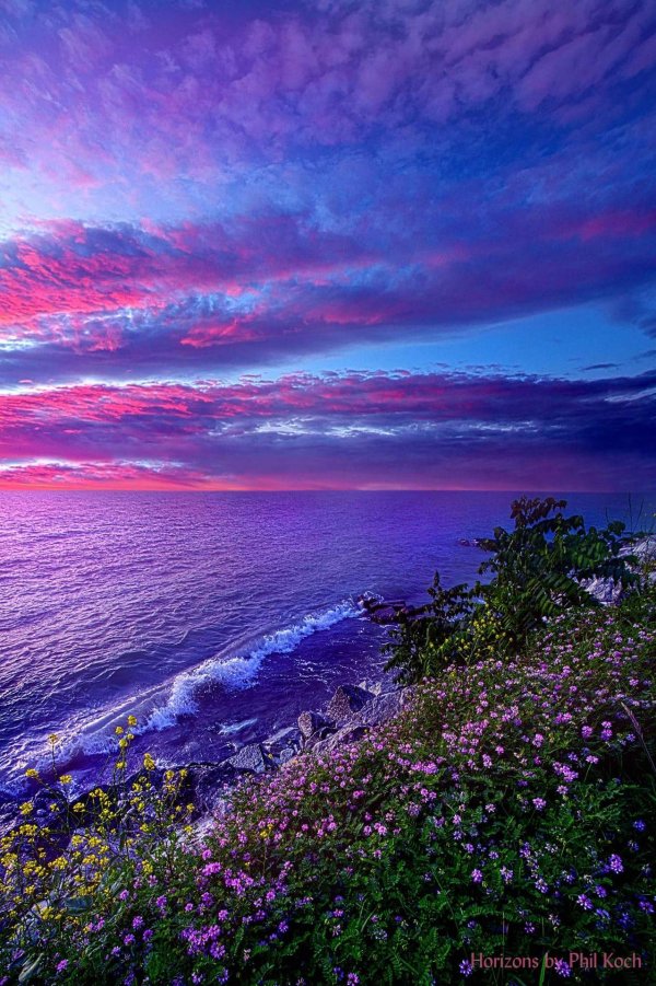 фиолетовые закаты