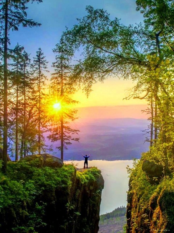 утро в норвегии григ