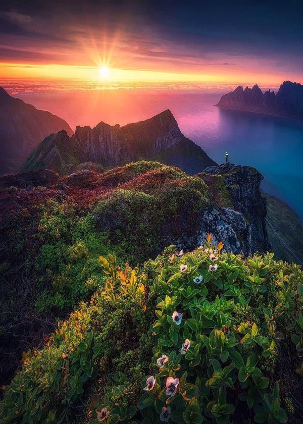 остров сенья норвегия