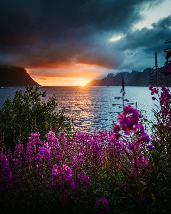 прекрасная природа