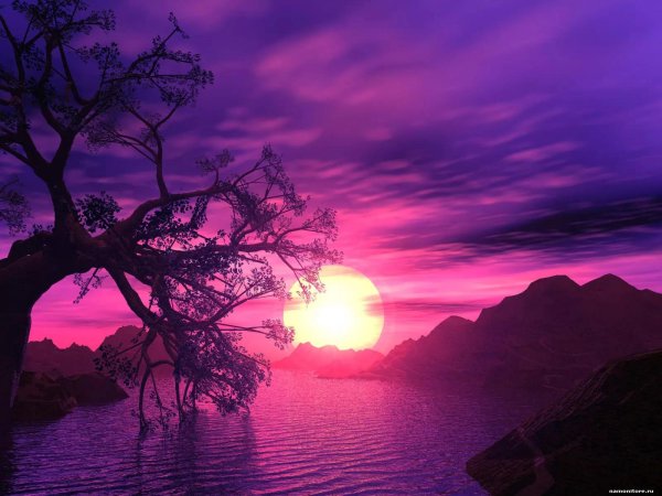 розовые закаты