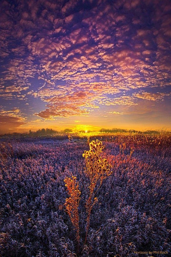 природа рассвет