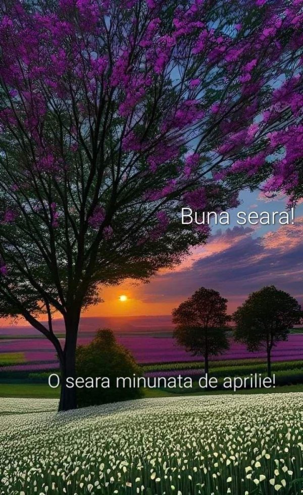 buna seara