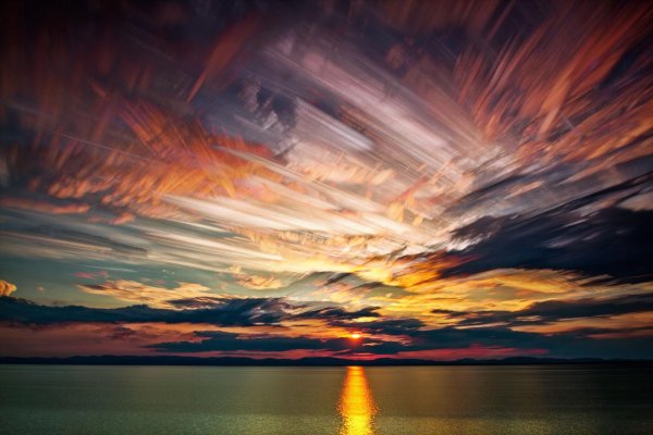 мэтт моллой