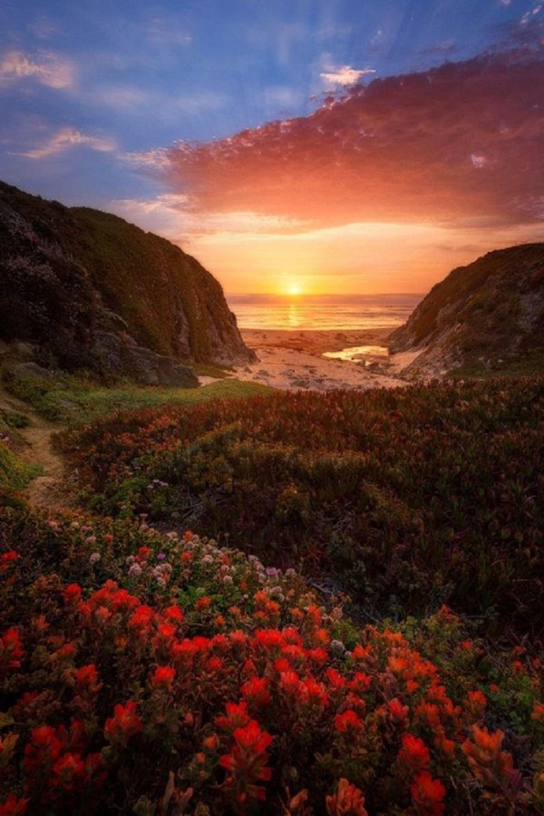 красивые рассветы