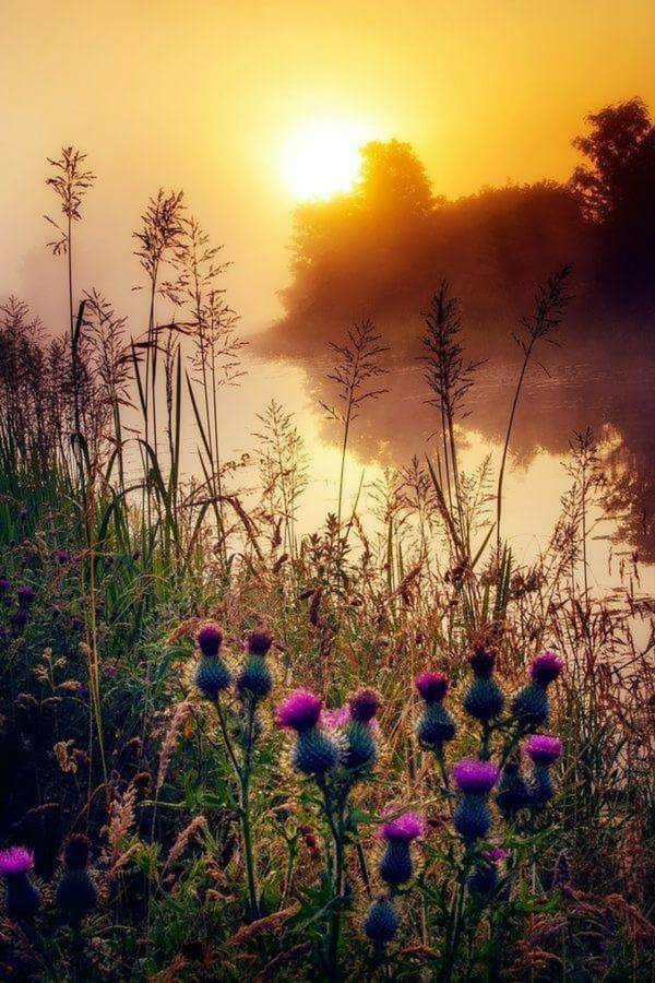 утренние пейзажи