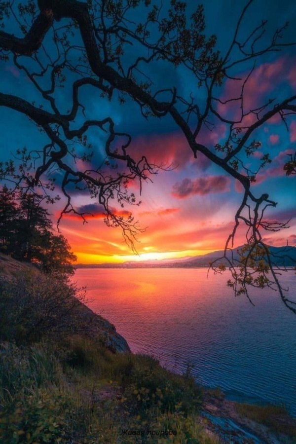 закат красивый